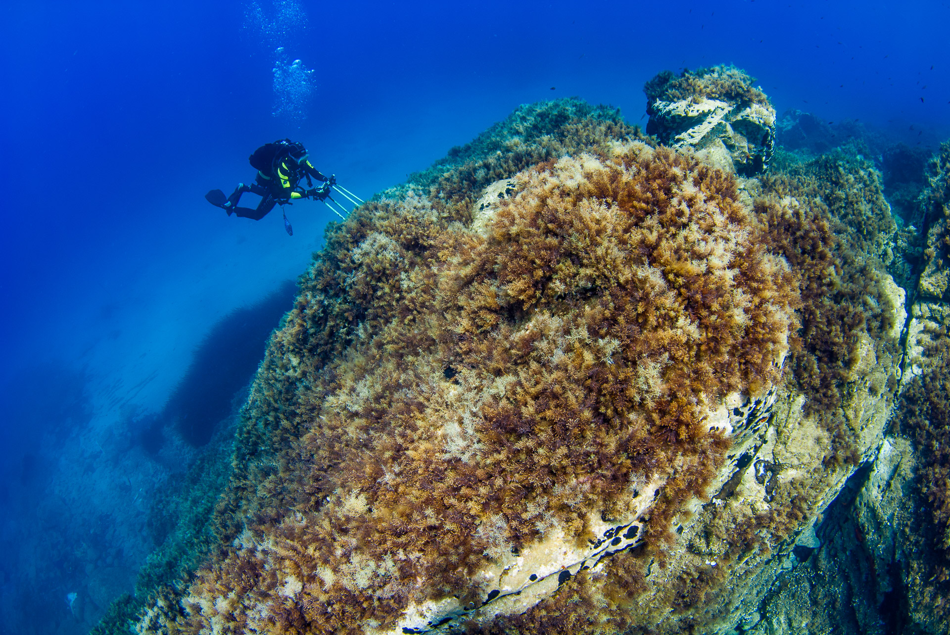 Διαβάστε στην «Καθημερινή της Κυριακής»-5
