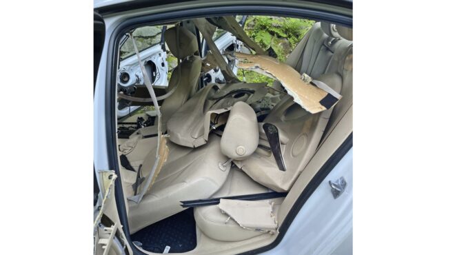 δύο-αρκούδες-εγκλωβίστηκαν-σε-αυτοκί-563144899