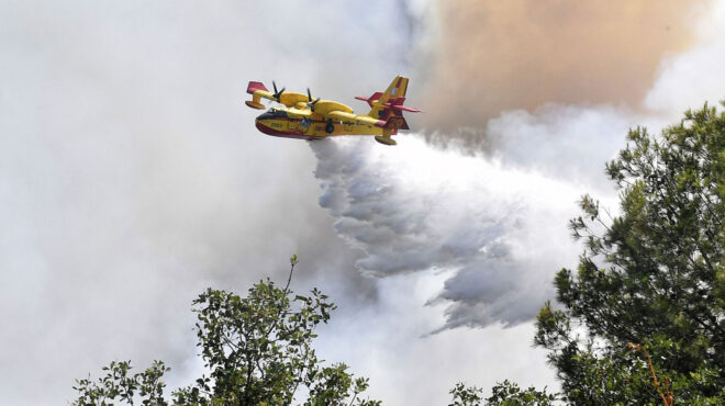φωτιά-τώρα-δελφοί-πυρκαγιά-σε-δασικ-563139676