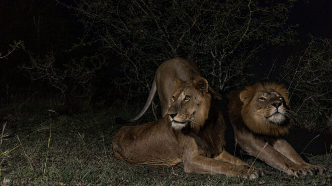 πρωταθλητές-για-την-αγάπη-το-κολύμπ-563121022