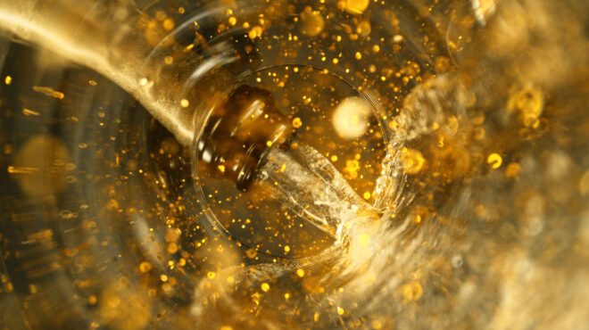 βαλτική-θάλασσα-σαμπάνιες-170-ετών-στο-α-563141983