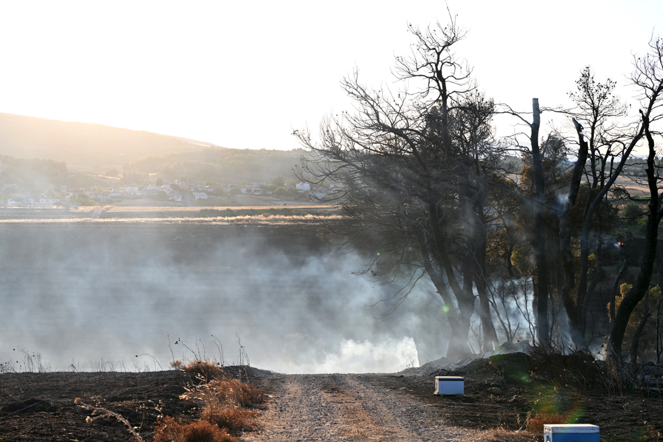 Φωτιά: Δύσκολη νύχτα στην Εύβοια – Μάχη για την προστασία των χωριών-2