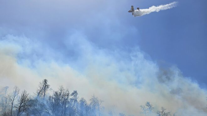 κατερίνη-υπό-έλεγχο-η-φωτιά-στην-πλάκα-563125666
