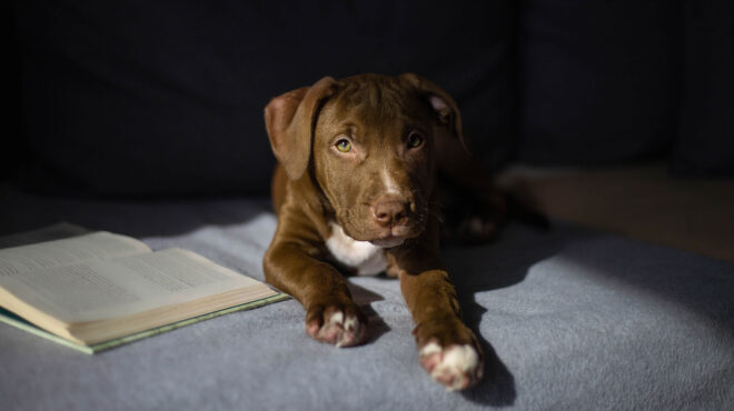 θεσσαλονίκη-πρόστιμο-31-300-ευρώ-σε-40χρονο-563123296