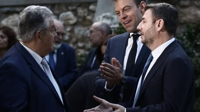 τι-έλεγε-ο-κασσελάκης-για-τον-γάμο-του-563146981