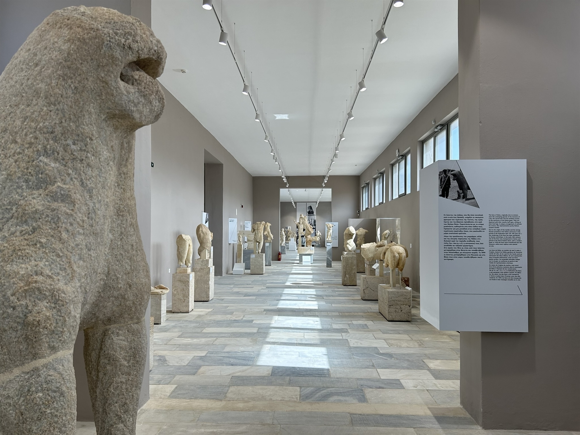 Δήλος: Νέα όψη για το «Μουσείον»-2