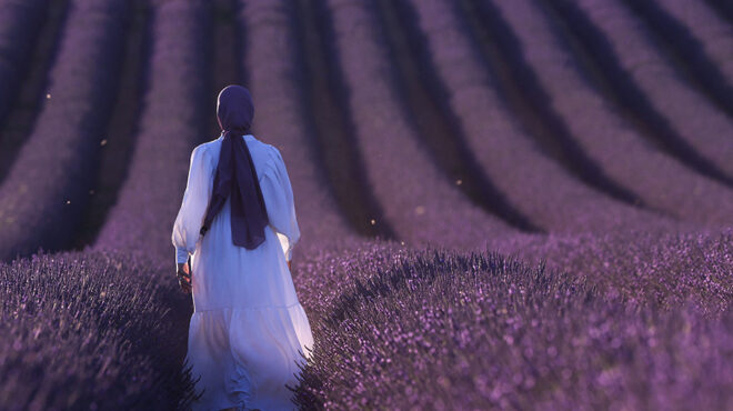 μωβ-λιβάδια-563110183