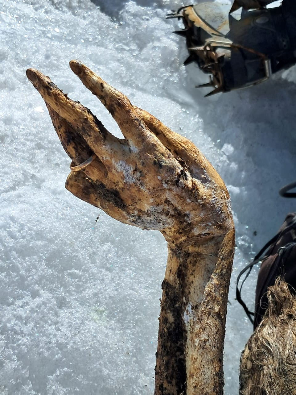 Σορός αγνοούμενου ορειβάτη βρέθηκε 22 χρόνια μετά-1