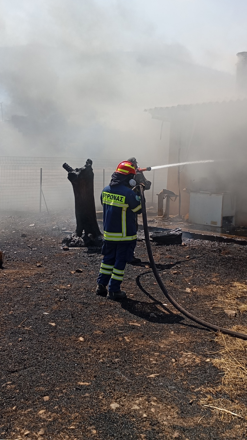 30 ημέρες στα πύρινα μέτωπα – Ο δύσκολος Ιούνιος των εθελοντών-3