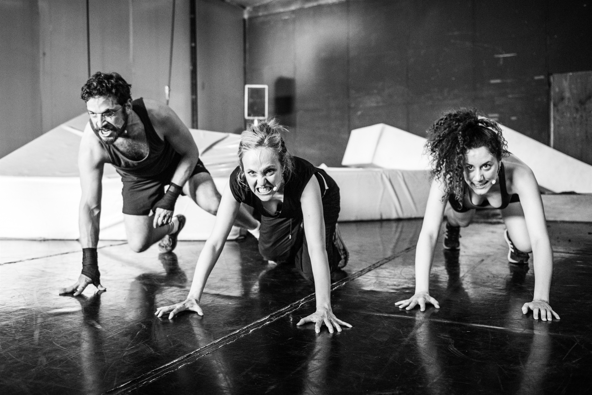 «Τετράποδοι» ντετέκτιβ-1