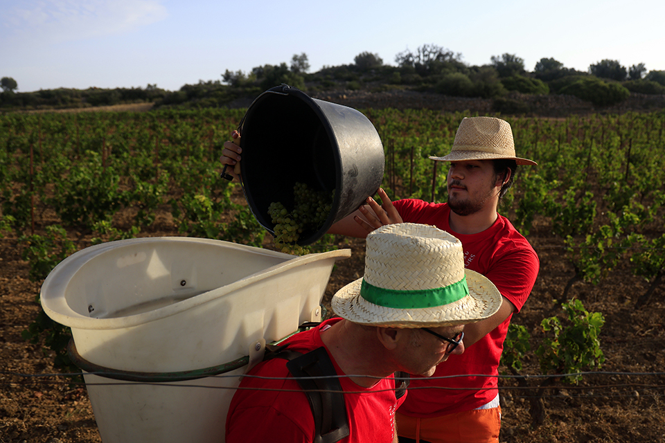 Περιτύλιγμα για την φωτιά-1