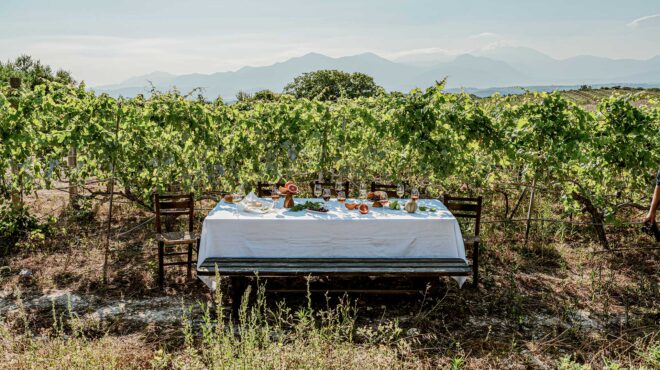 βιδιανό-κοτσιφάλι-λιάτικο-τα-κρασιά-τ-563130589