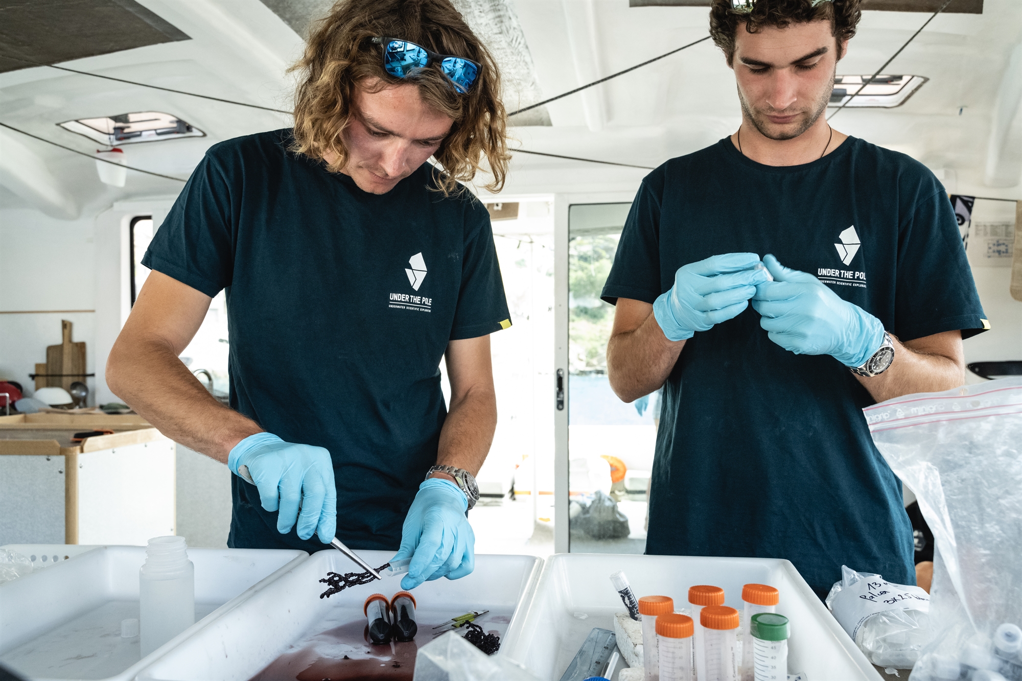 Κατάδυση στα κοράλλια του Αιγαίου-3