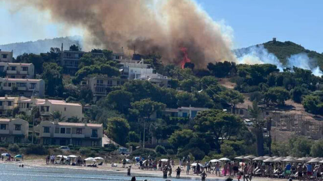πυρκαγιά-σε-δασική-έκταση-στο-λαύριο-563126428