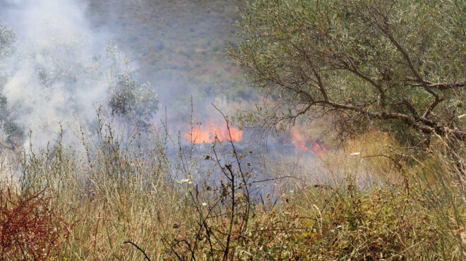 στα-κρατητήρια-με-τη-δεύτερη-είχε-κα-563105881