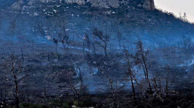περιβάλλον-οι-λύκοι-έκαναν-ξανά-σπίτι-563104366