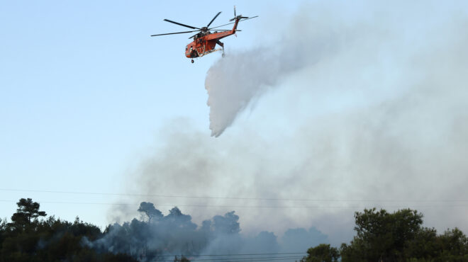 φωτιά-στην-καλαμίτσα-καβάλας-σηκώθη-563128615