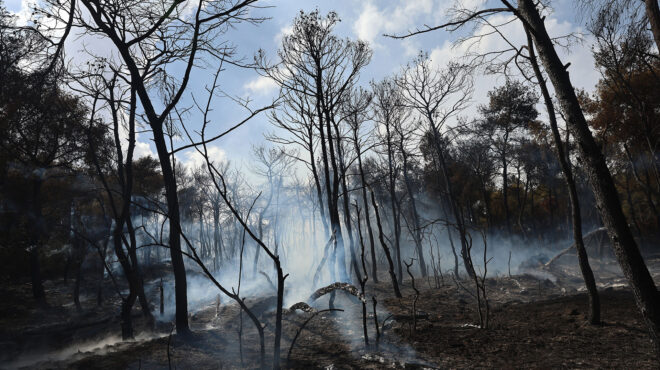 φωτιά-στα-γλυκά-νερά-ποινική-δίωξη-για-563109640