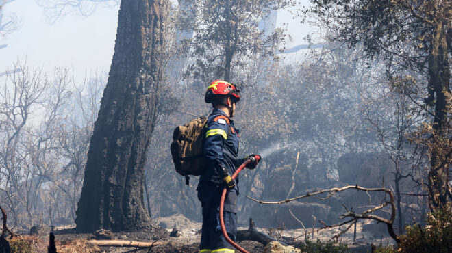 φωτιά-μήνυμα-από-το-112-στην-πρέβεζα-σε-563114389