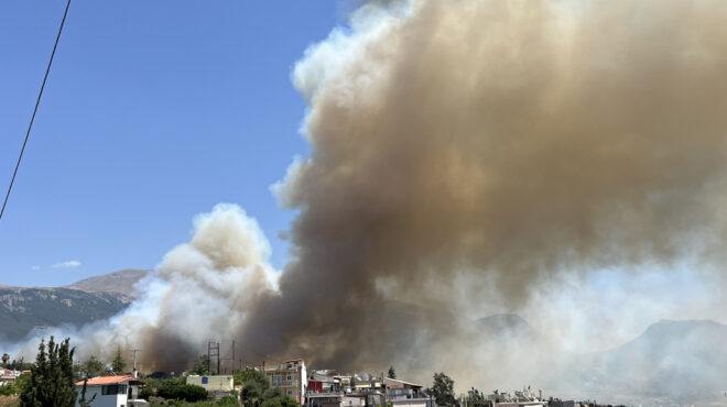 πυροσβεστική-29-πυρκαγιές-το-τελευταίο-563118127