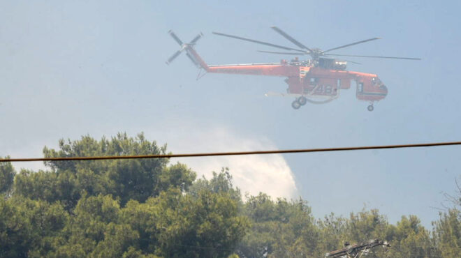 πυροσβεστική-29-πυρκαγιές-το-τελευταίο-563118094