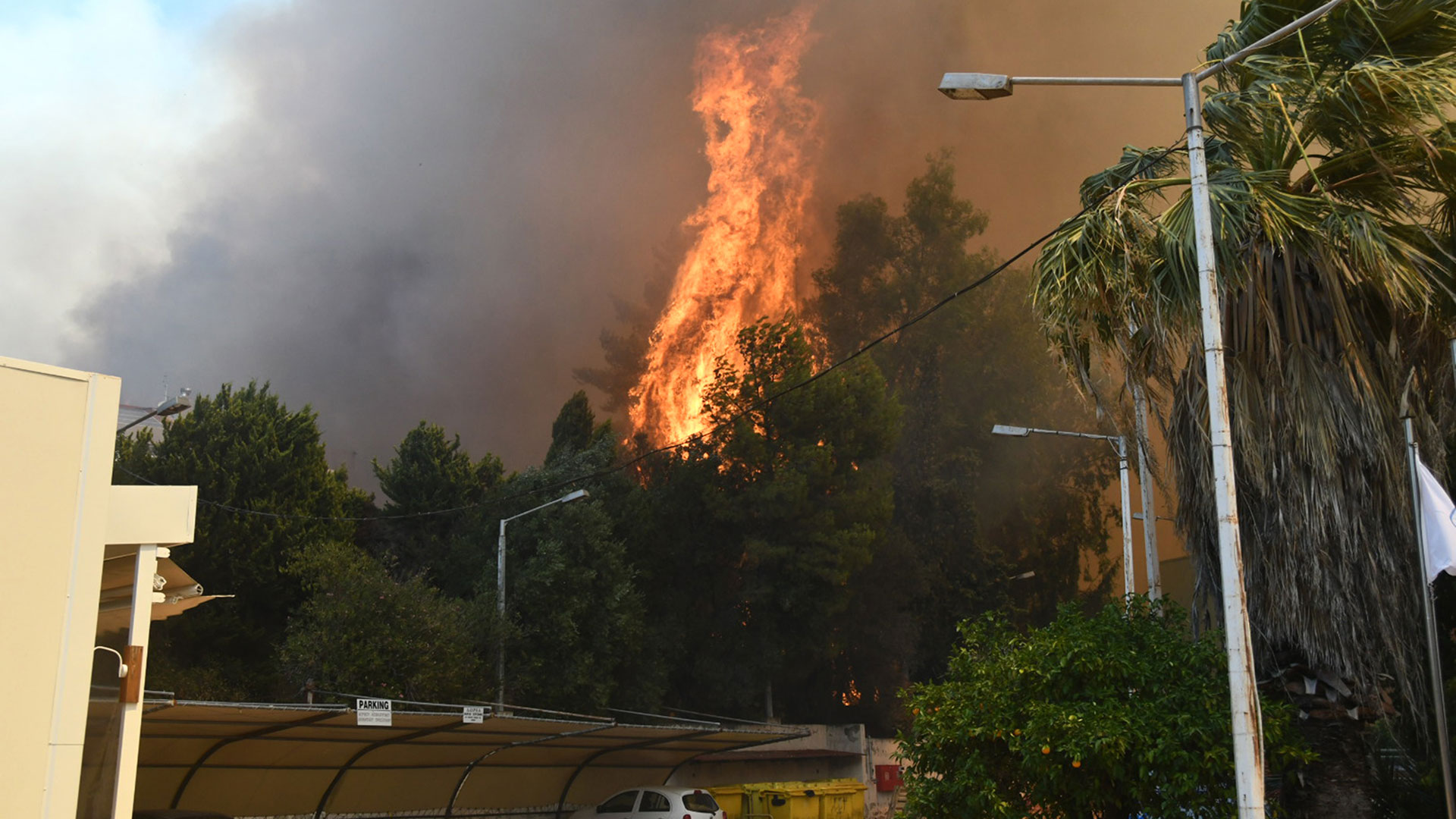 Μεγάλη φωτιά στην Πάτρα – Εκκενώθηκαν Καραμανδάνειο, Γηροκομείο και το ίδρυμα «Μέριμνα»-6