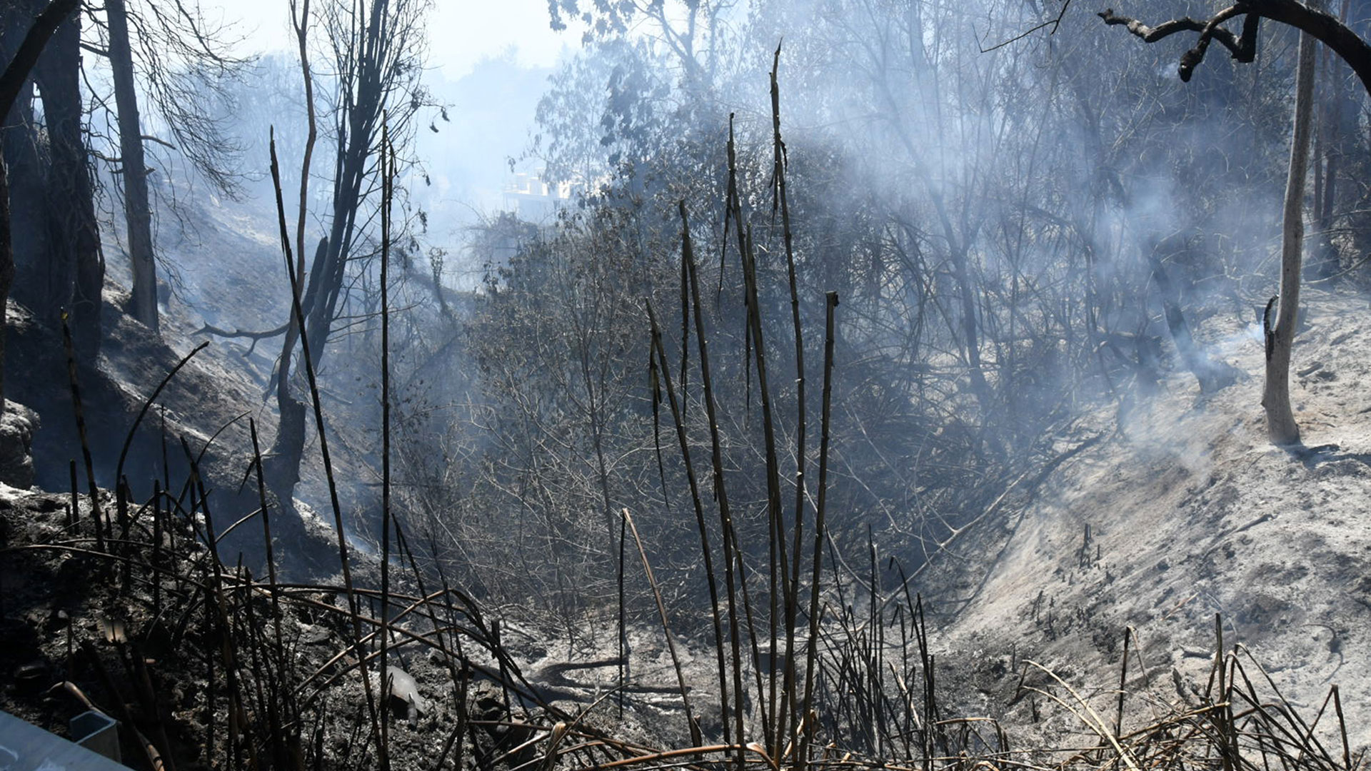 Μεγάλη φωτιά στην Πάτρα – Εκκενώθηκαν Καραμανδάνειο, Γηροκομείο και το ίδρυμα «Μέριμνα»-10