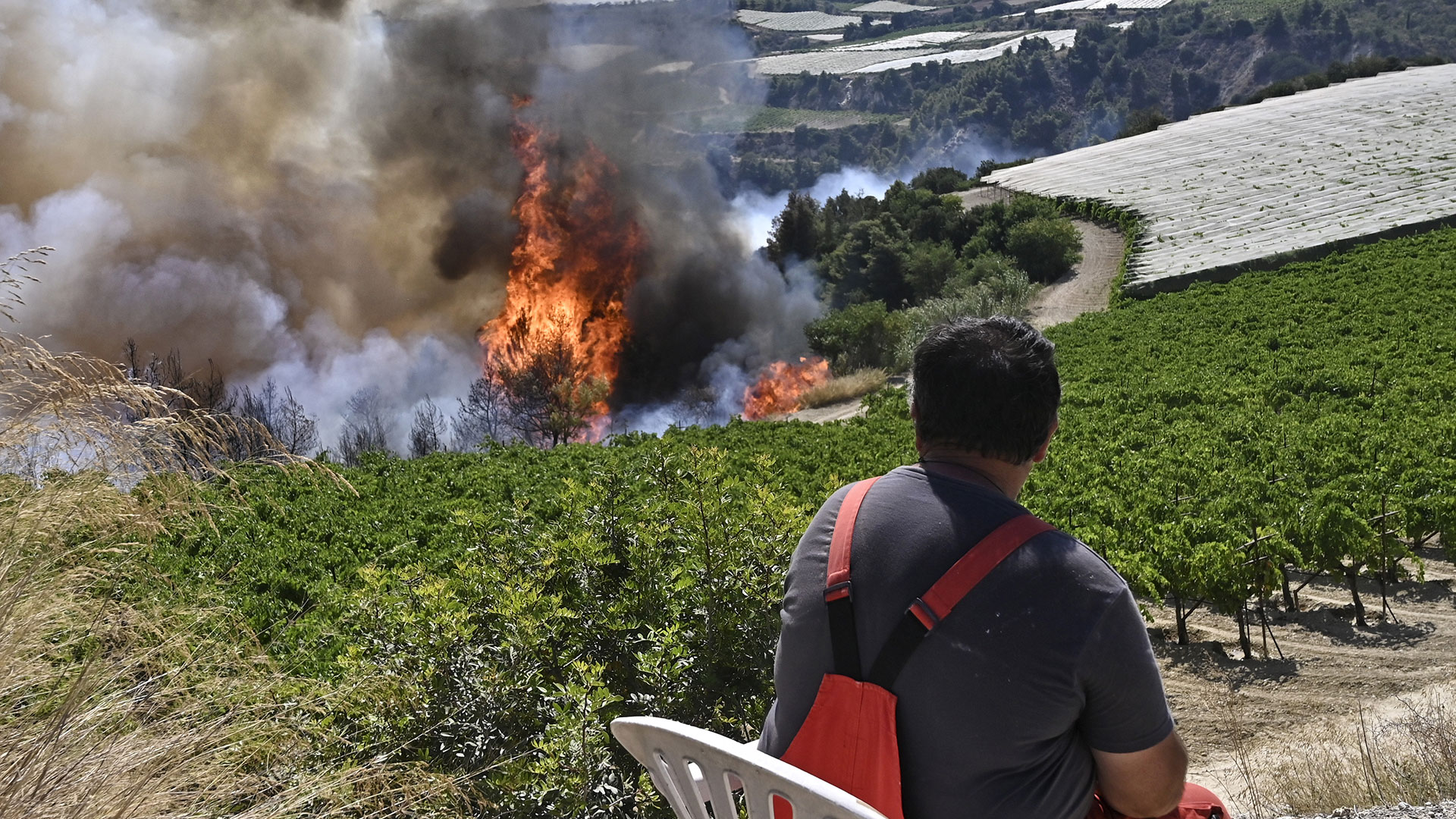 Φωτιά – Κορινθία: Διάσπαρτες εστίες στο μέτωπο-13
