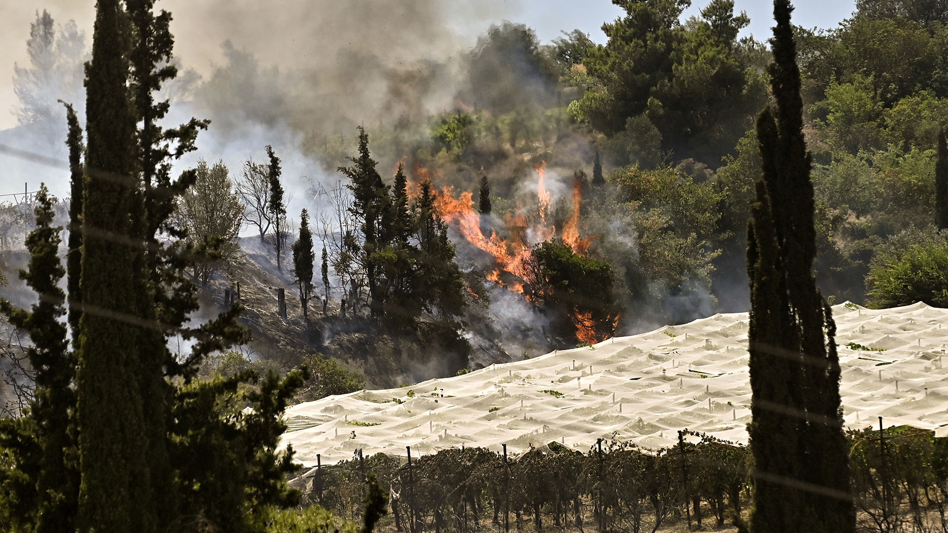 Φωτιά – Κορινθία: Διάσπαρτες εστίες στο μέτωπο-11