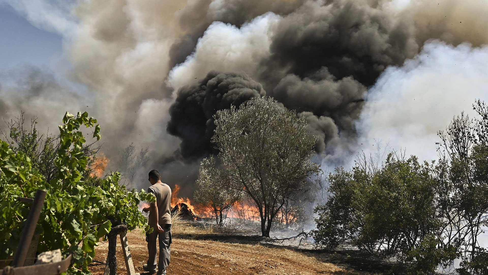 Φωτιά – Κορινθία: Διάσπαρτες εστίες στο μέτωπο-5