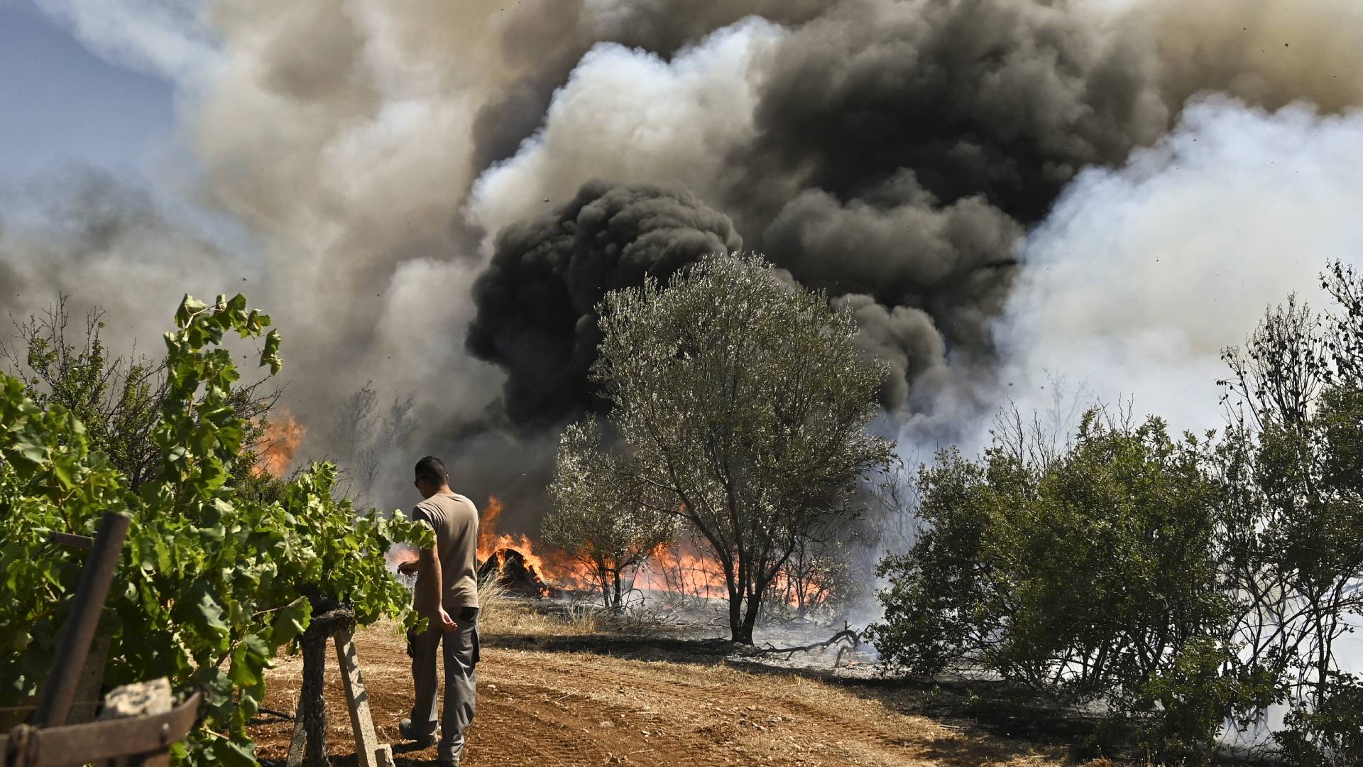 Χωρίς ενεργό μέτωπο η φωτιά στη Στιμάγκα Κορινθίας – Στο «πορτοκαλί» σήμερα Εβρος και Ροδόπη-1