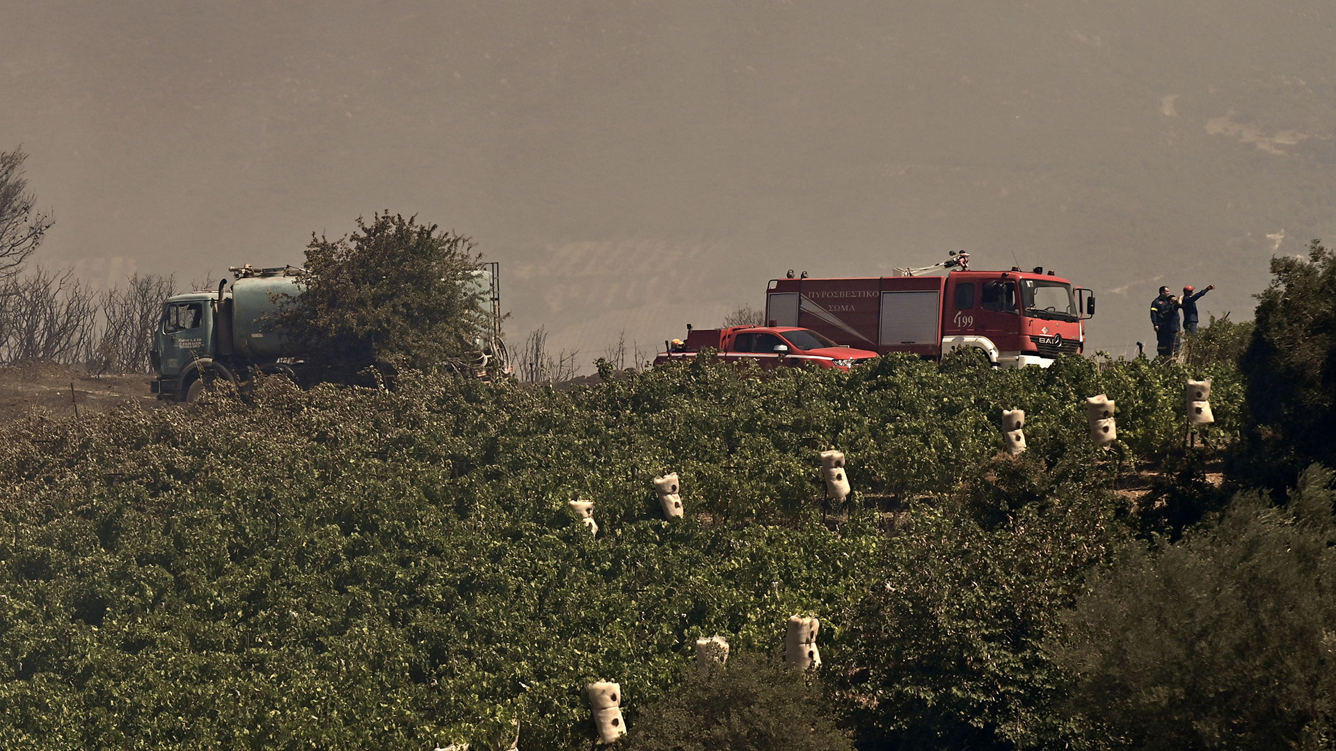 Φωτιά – Κορινθία: Διάσπαρτες εστίες στο μέτωπο-15