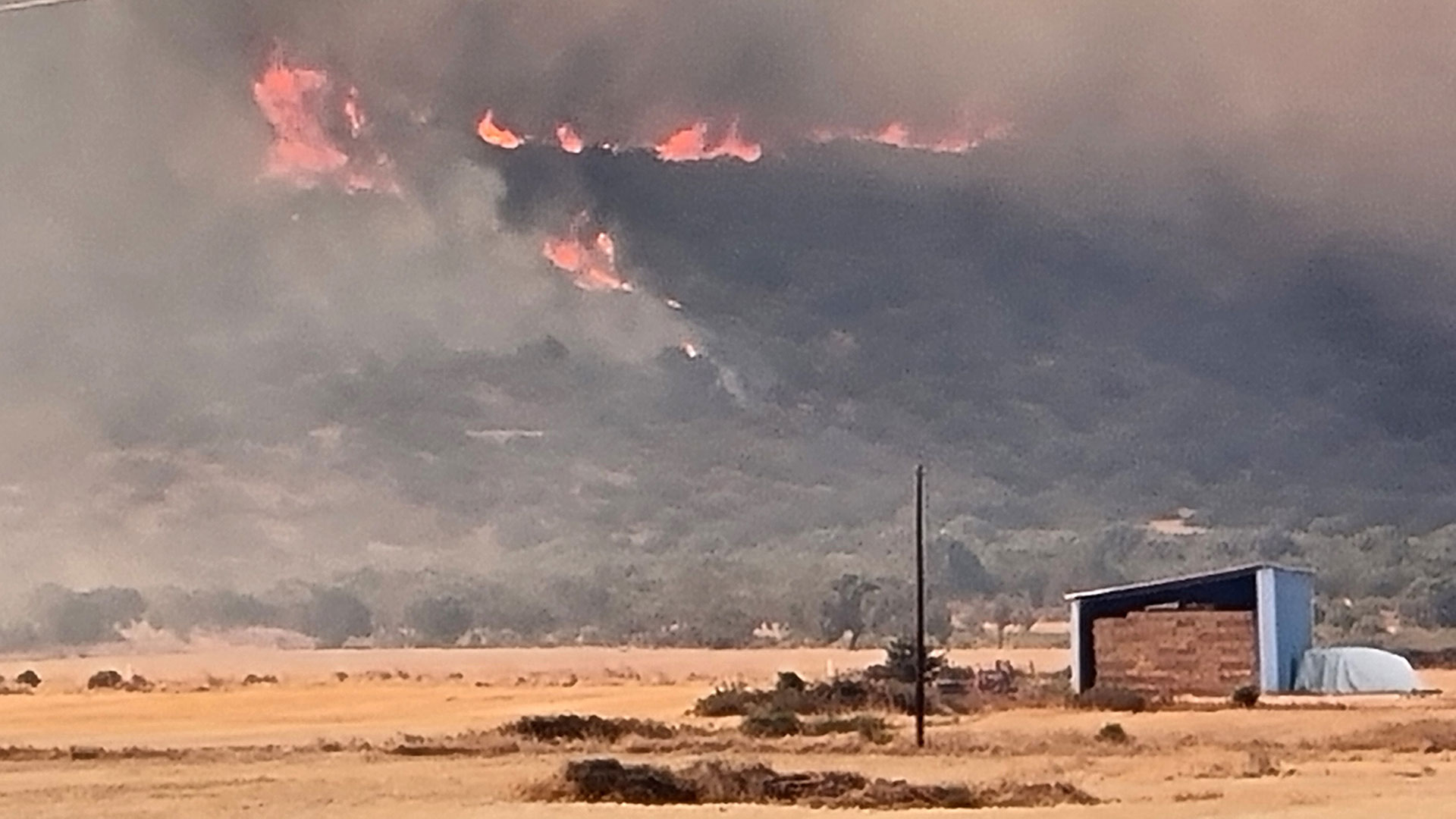 Φωτιά: Δύσκολη νύχτα στην Εύβοια – Μάχη με ισχυρούς ανέμους-14