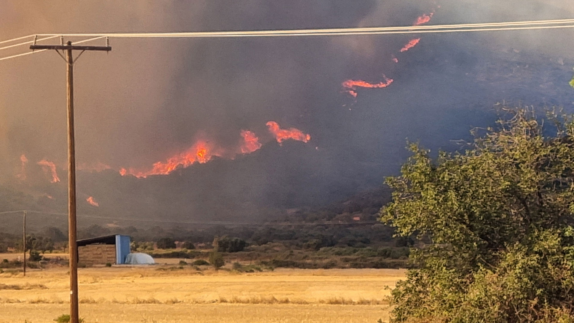Φωτιά: Δύσκολη νύχτα στην Εύβοια – Μάχη με ισχυρούς ανέμους-11