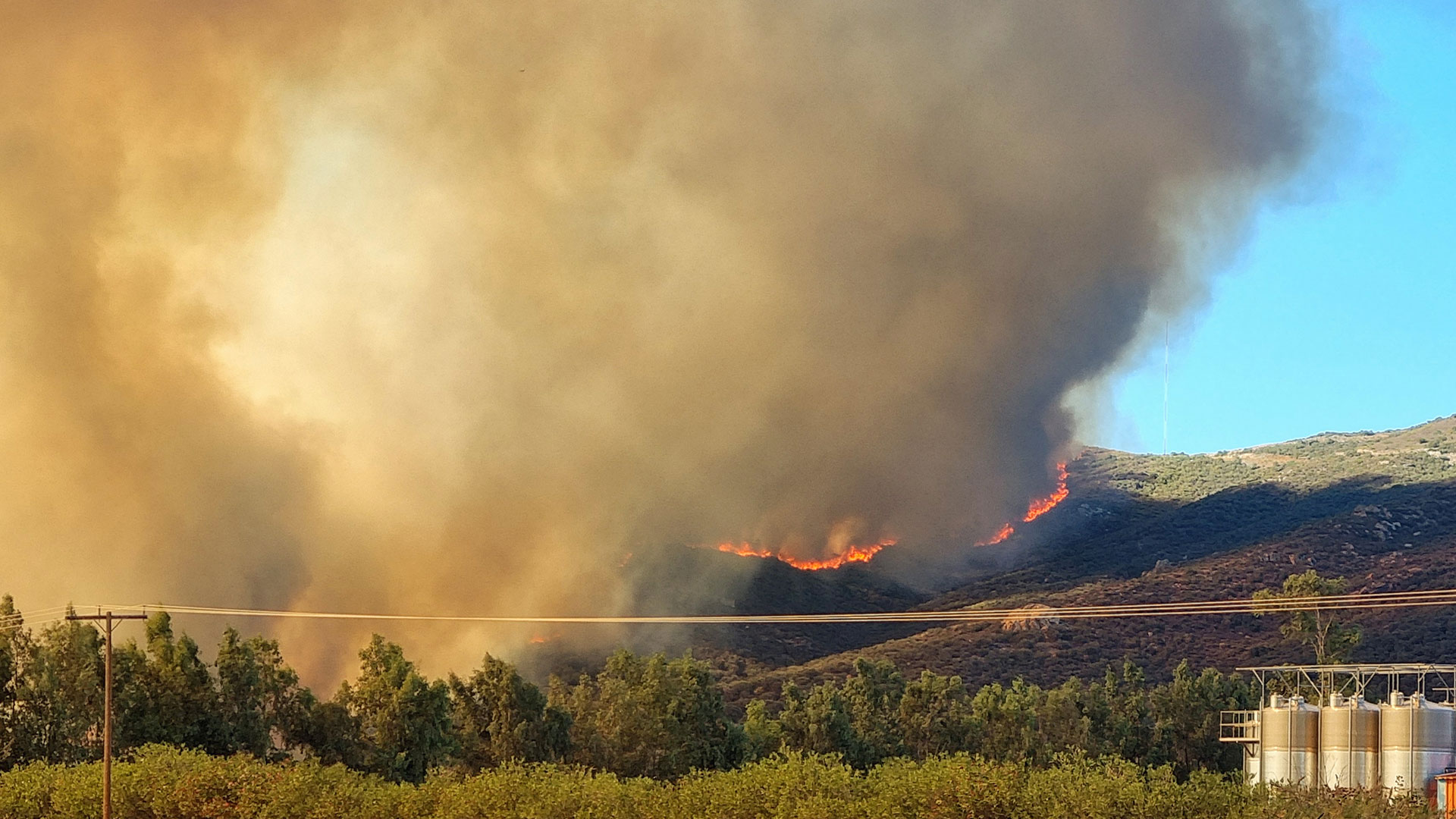 Φωτιά: Δύσκολη νύχτα στην Εύβοια – Μάχη με ισχυρούς ανέμους-12