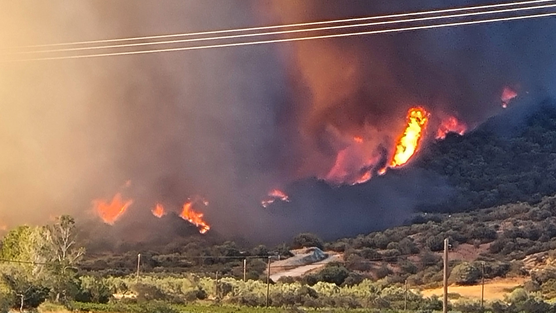 Φωτιά: Δύσκολη νύχτα στην Εύβοια – Μάχη με ισχυρούς ανέμους-7