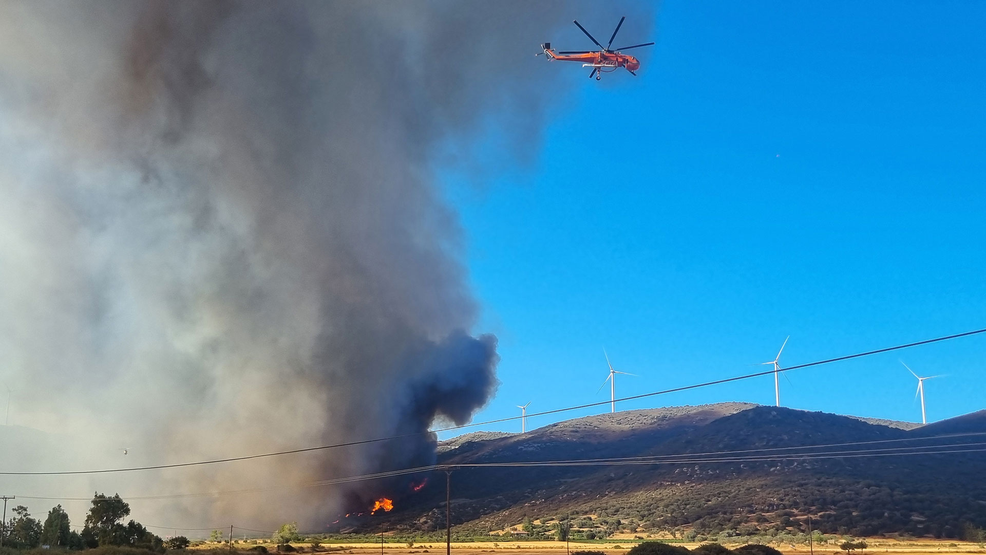 Φωτιά: Δύσκολη νύχτα στην Εύβοια – Μάχη με ισχυρούς ανέμους-8