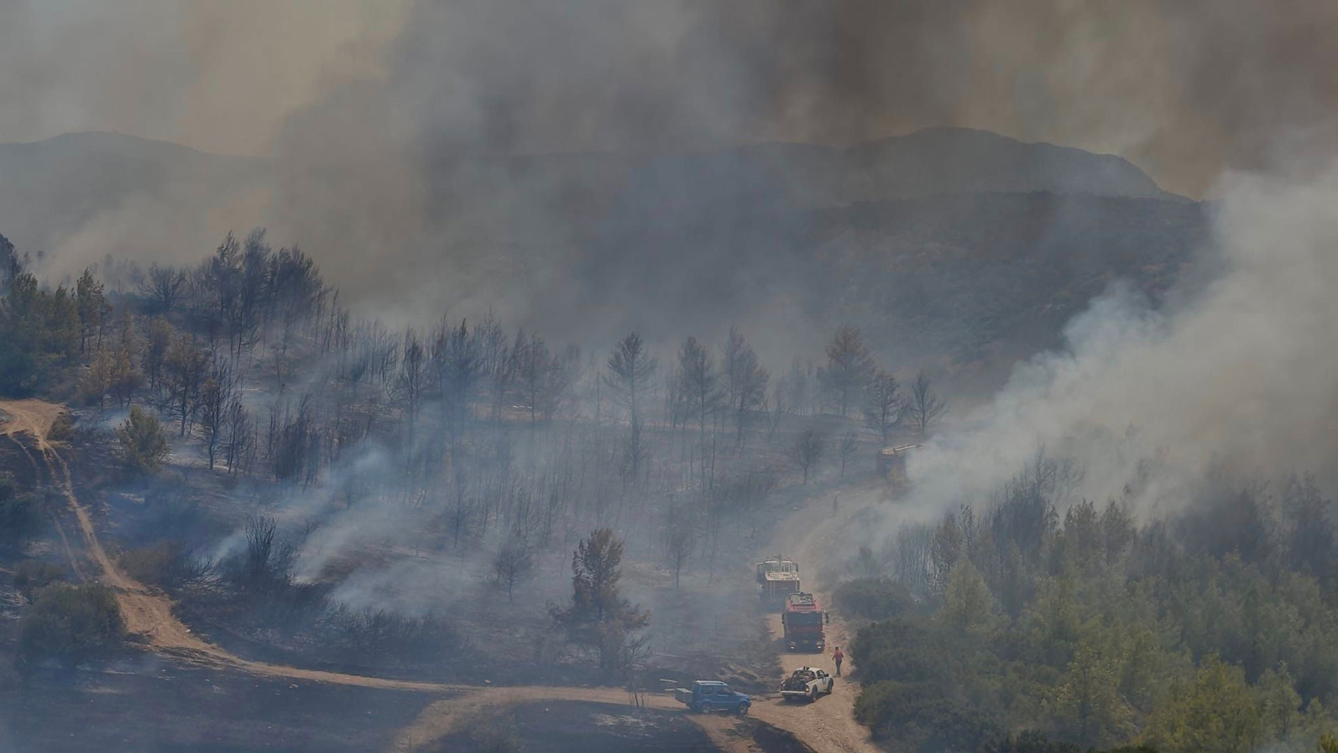 Φωτιά τώρα – Ωρωπός: Πυρκαγιά σε αγροτοδασική έκταση – Ηχησε το 112-2