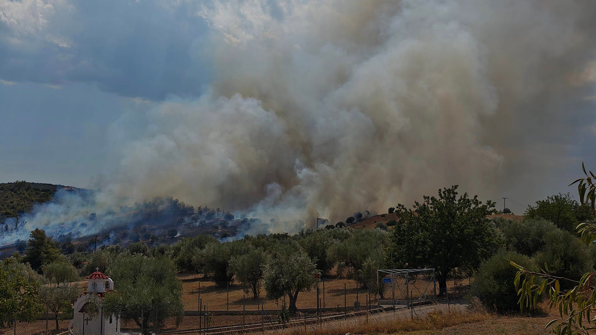 Φωτιά τώρα – Ωρωπός: Πυρκαγιά σε αγροτοδασική έκταση – Ηχησε το 112-1