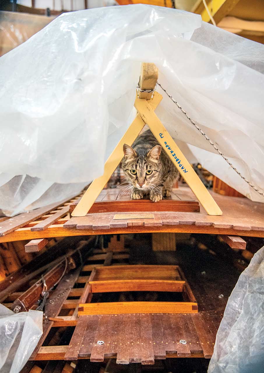 Ο επίμονος ξυλοναυπηγός από την Ερμούπολη που αξίζει να γνωρίσετε-2