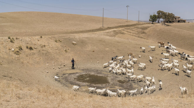 σικελία-θυσία-η-γεωργία-στον-βωμό-του-τ-563143336