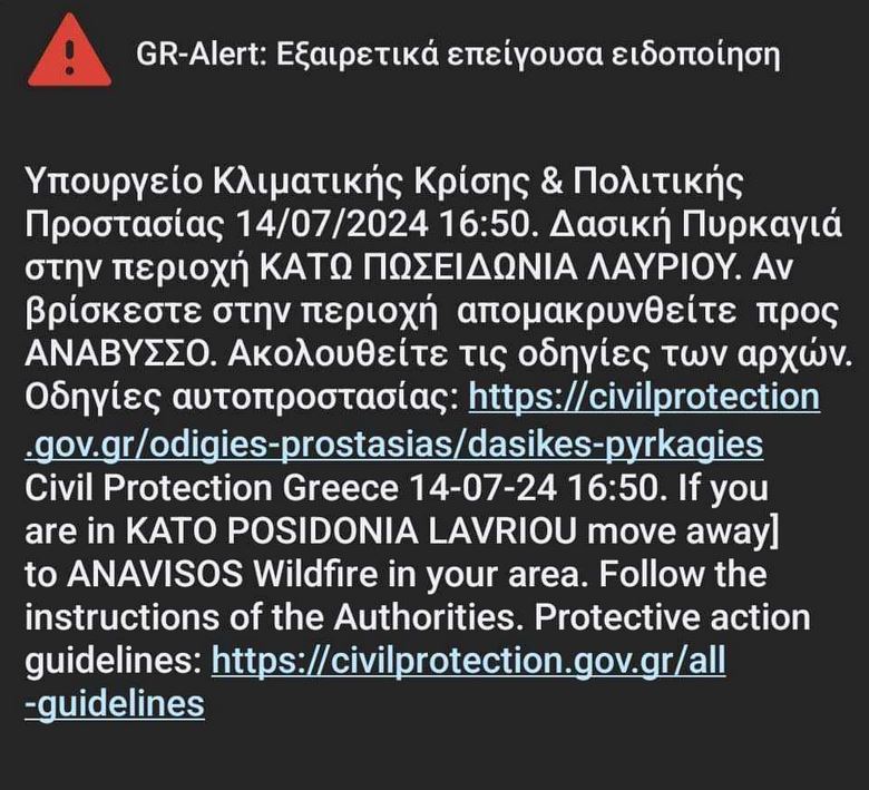 Πυρκαγιά σε δασική έκταση στο Λαύριο – Καλύτερη η εικόνα στη Χίο-1