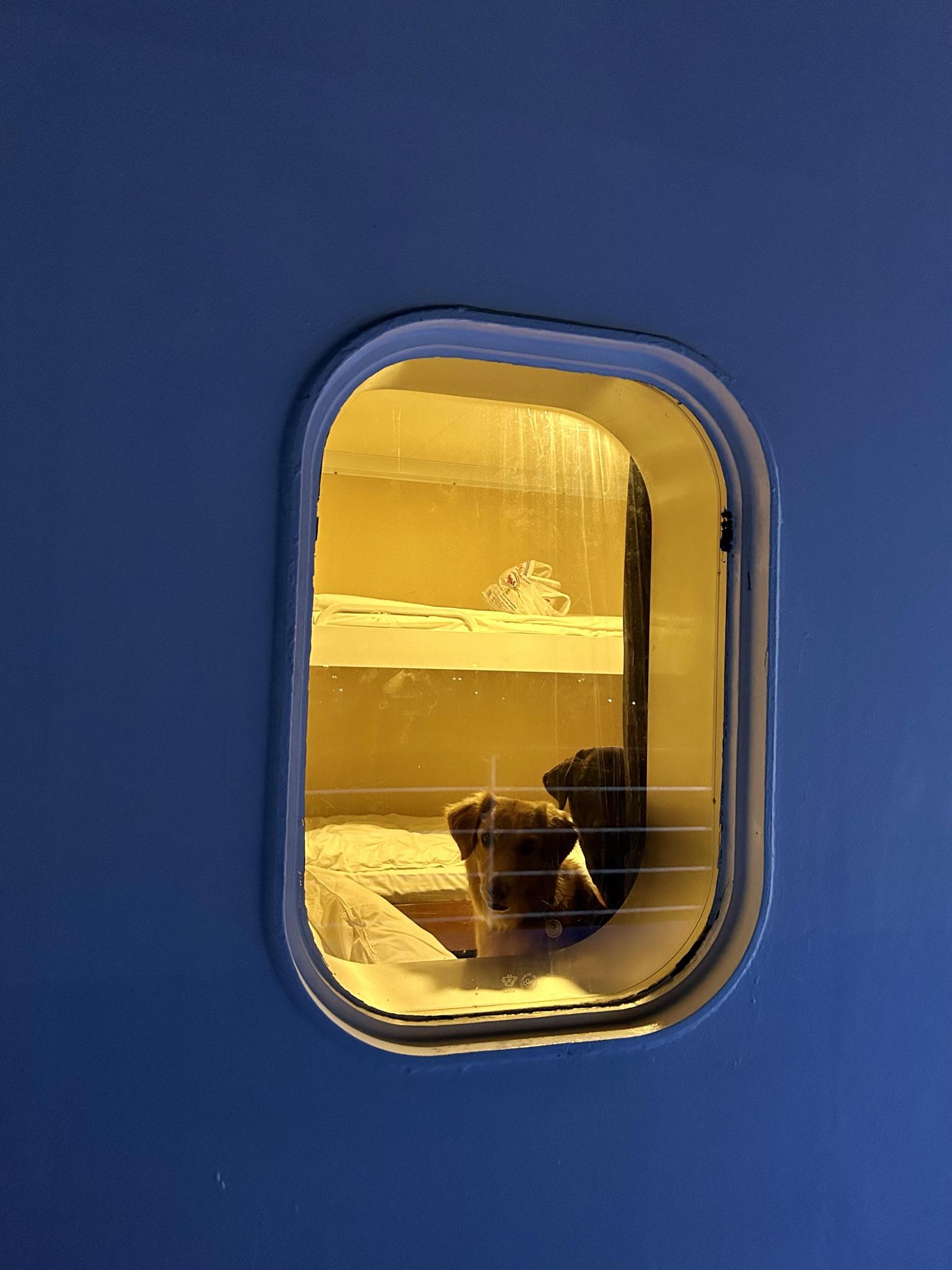 «Είναι σαν να είμαστε τιμωρία στο γκαράζ. Γιατί να μην καθίσω με την παρέα μου;»-3