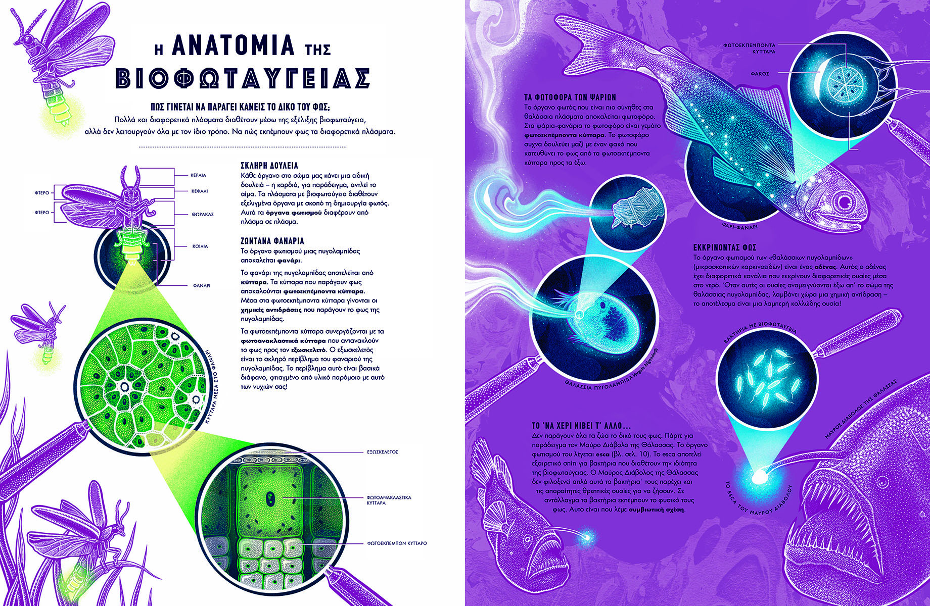 Βάζουν στη γνώση… χρώματα-5