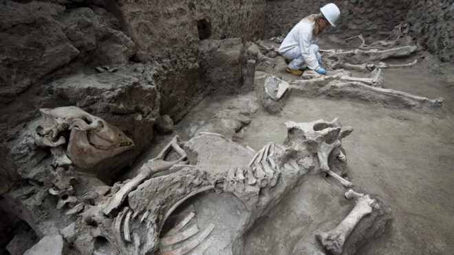 δεν-κατέστρεψε-μόνο-ο-βεζούβιος-την-π-563131915