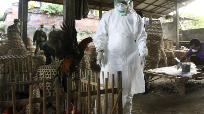 γρίπη-των-πτηνών-οι-φόβοι-για-μια-εκκολ-563132500