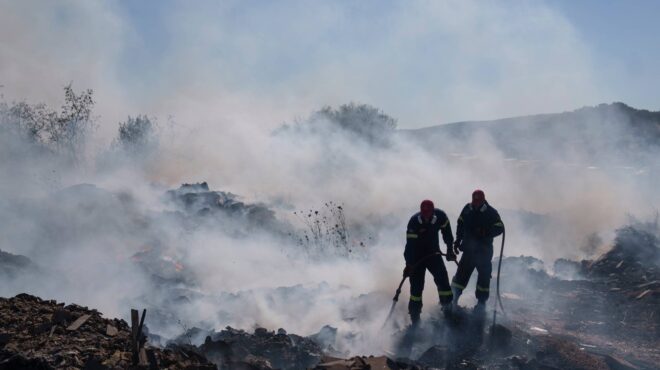 αρνητικό-ρεκόρ-καμένων-εκτάσεων-μέσα-563111017