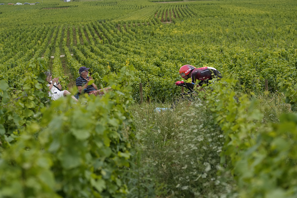 Η μάχη του κρασιού-3