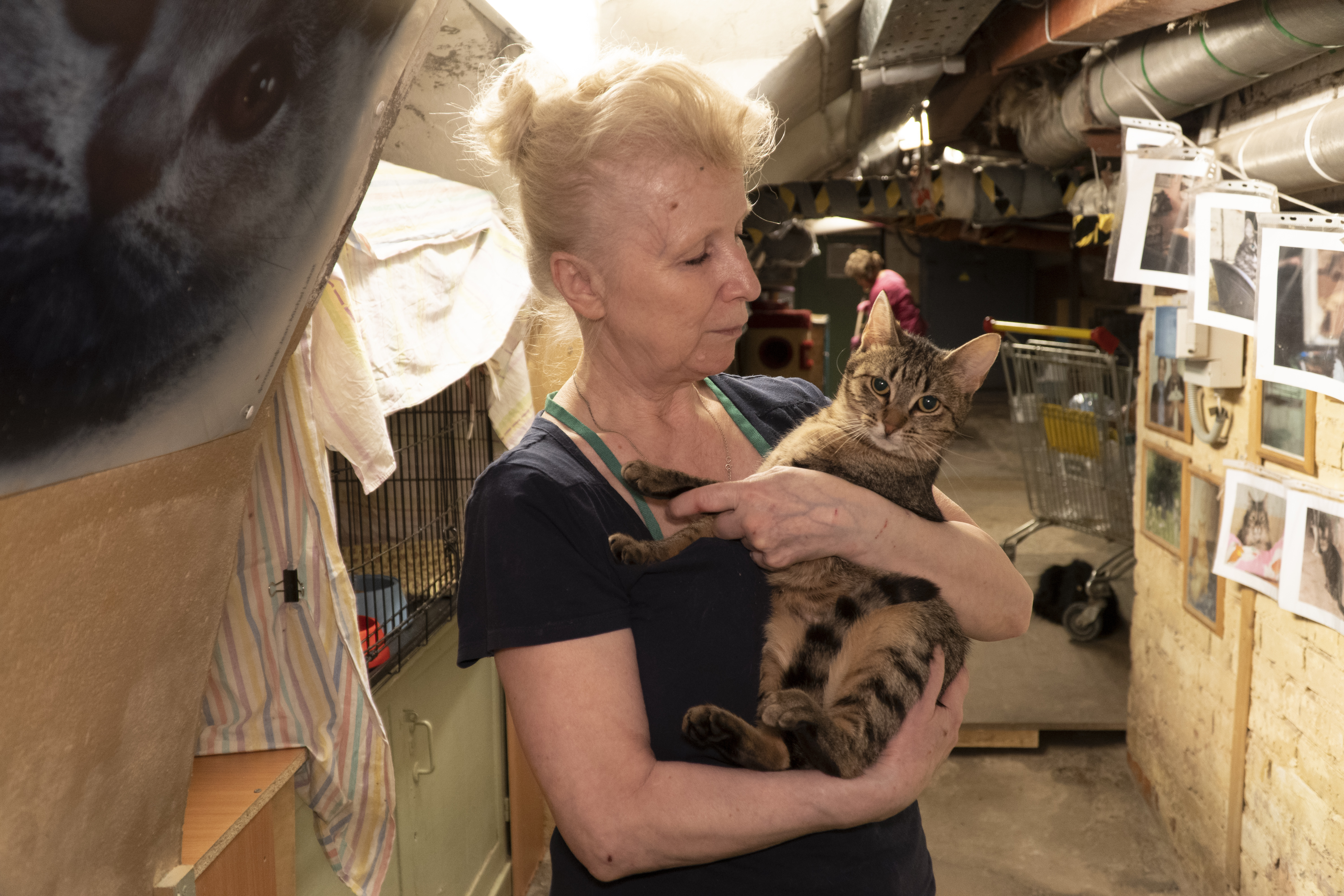 Οι γάτες που βρέθηκαν από τα… αλώνια στα σαλόνια-5