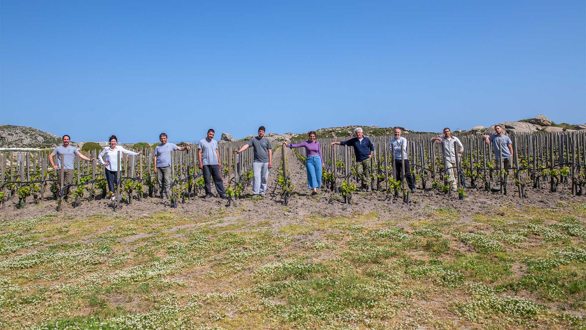 Κυκλάδες στο ποτήρι: 7 επισκέψιμα οινοποιεία του Αιγαίου-3